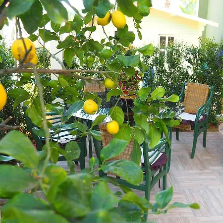 Parnasus Bed & Breakfast